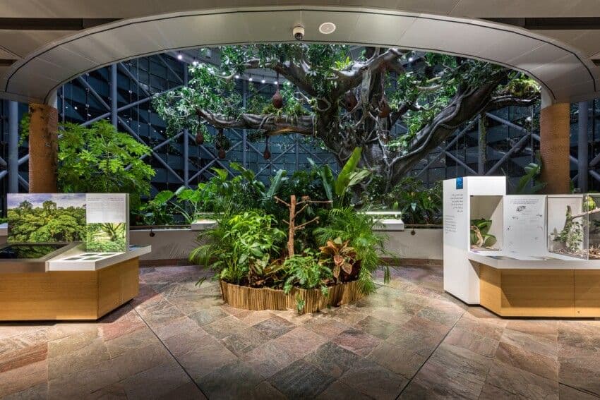 The Green Planet, Dubai