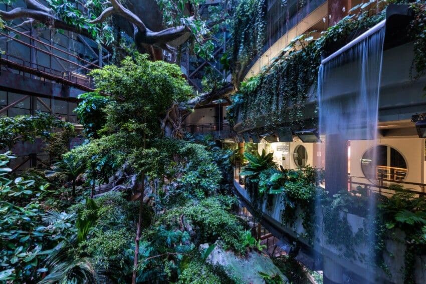 The Green Planet, Dubai