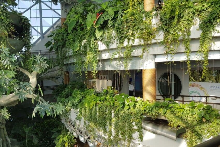 The Green Planet, Dubai