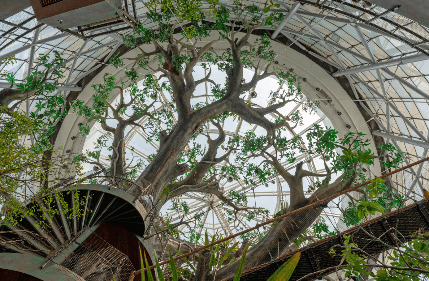 The Green Planet, Dubai