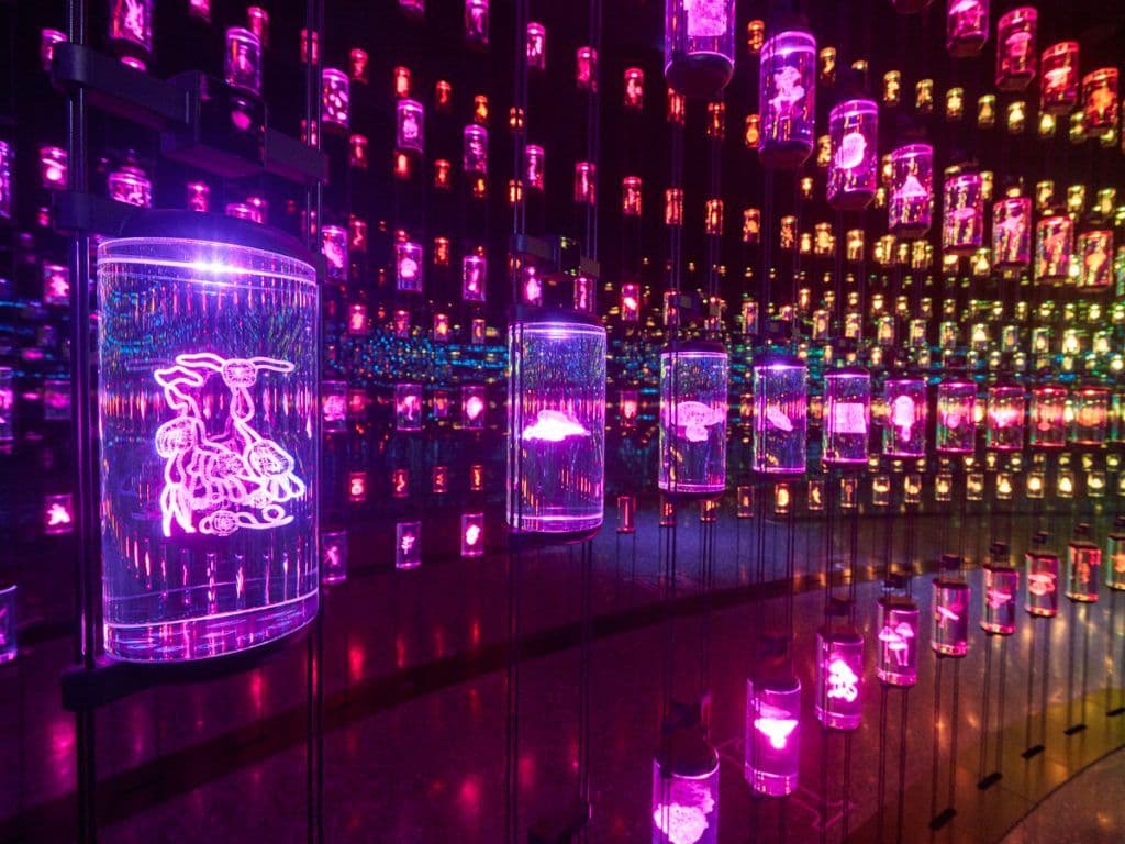 Musuem of the future