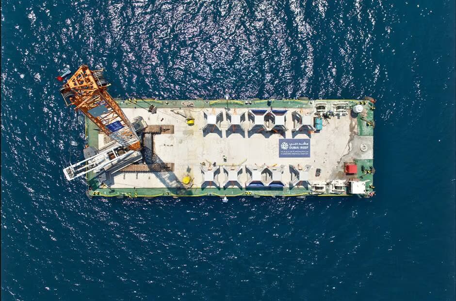 Dubai Reef Project Boosts Marine Life and Ecosystem Growth