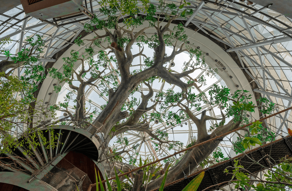The Green Planet, Dubai
