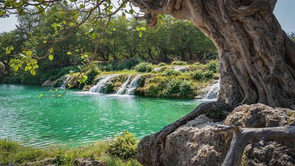 Salalah, oman- Wadi Darbat in the Dhofar region of Oman