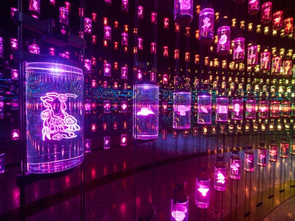 Musuem of the future