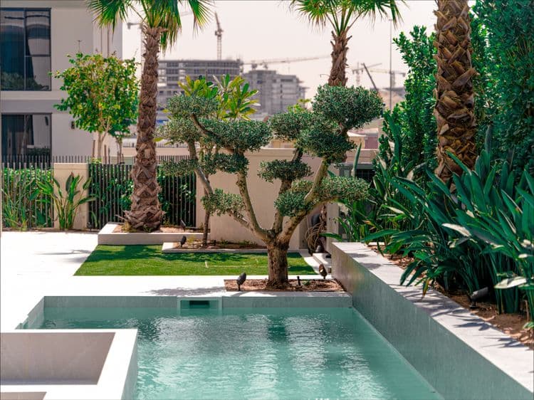 Building Outside the Box: Better Gardens on UAE Luxury Outdoor Living